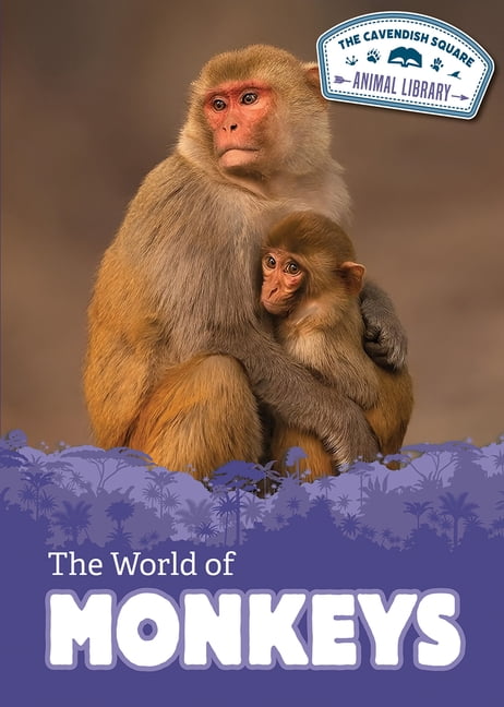 The Cavendish Square Animal Library The World of Monkeys, (Hardcover)