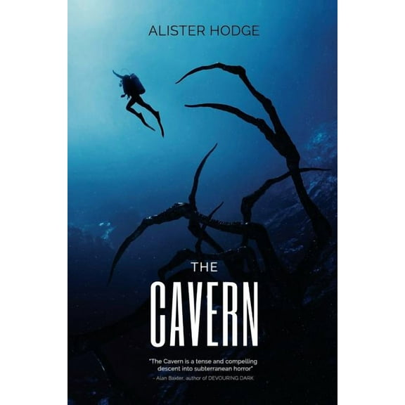 The Cavern Paperback 1925840689 9781925840681 Alister Hodge