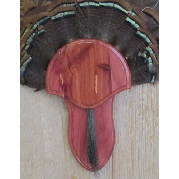 The Cedar Turkey Mounting Kit with Beard Plate -02