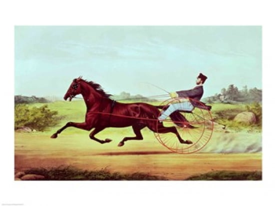 The Celebrated Horse Canvas Art - (24 x 18)