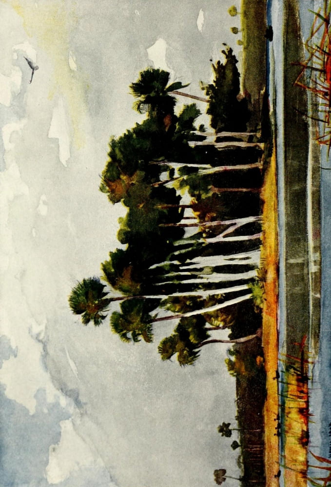 The Century Magazine 1905 Homosassa River Florida Canvas Art - Winslow Homer (18 x 24)