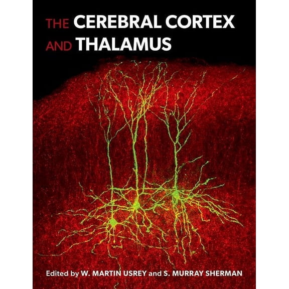 The Cerebral Cortex and Thalamus, (Hardcover)