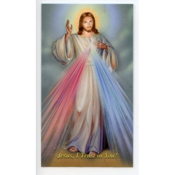 The Chaplet of the Divine Mercy holy card - laminated - Pack of 25