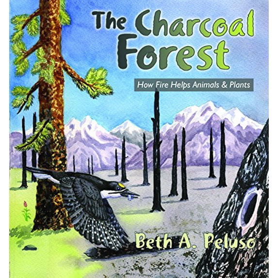 Pre-Owned The Charcoal Forest: How Fire Helps Animals and Plants (Paperback) 0878425322 9780878425327