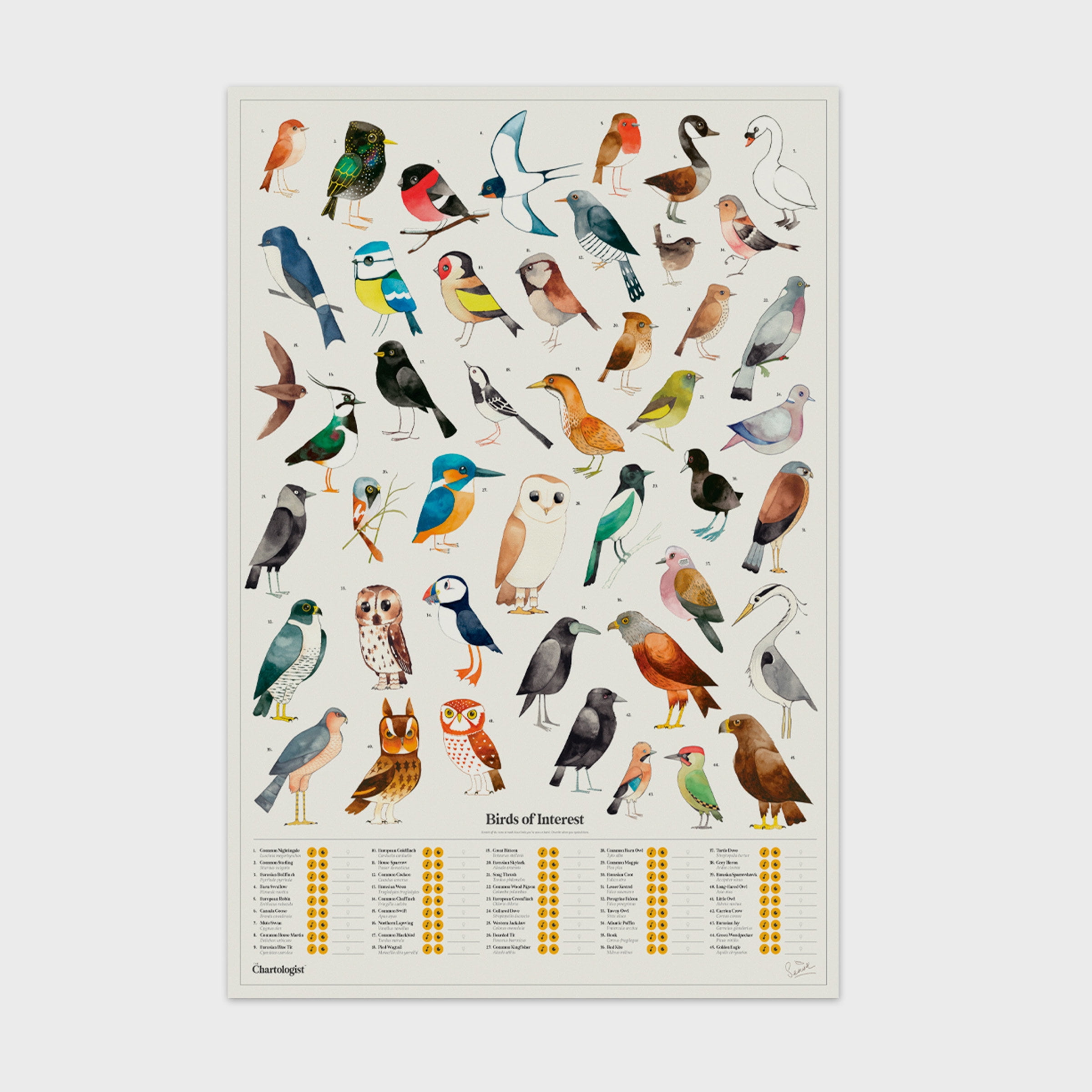 Birds of Interest Interactive Scratch Off Poster