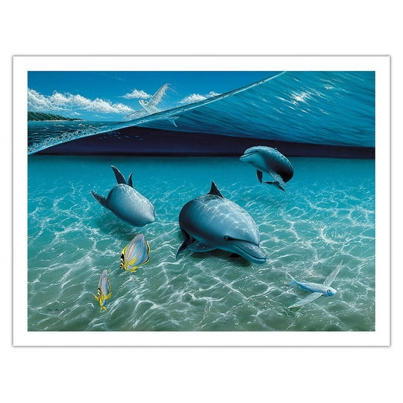 The Chase - Hawaiian Spinner Dolphins (Naiʻa) - From an Original Color Painting by Mark Mackay - Fine Art Matte Paper Print (Unframed) 20x26in
