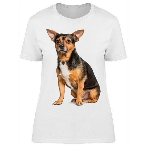The Chihuahua Is Sitting T-Shirt Women -Image by Shutterstock, Female XX-Large