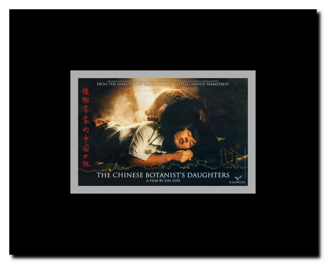 The Chinese Botanist's Daughters Framed Movie Poster