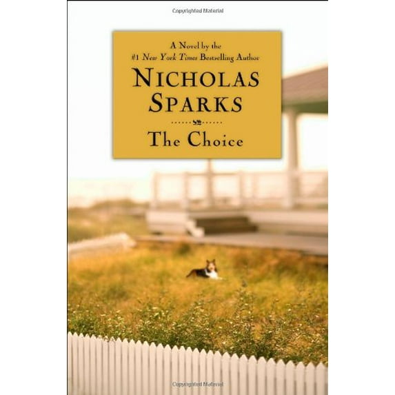 Pre-Owned The Choice (Hardcover) 0446579920 9780446579926