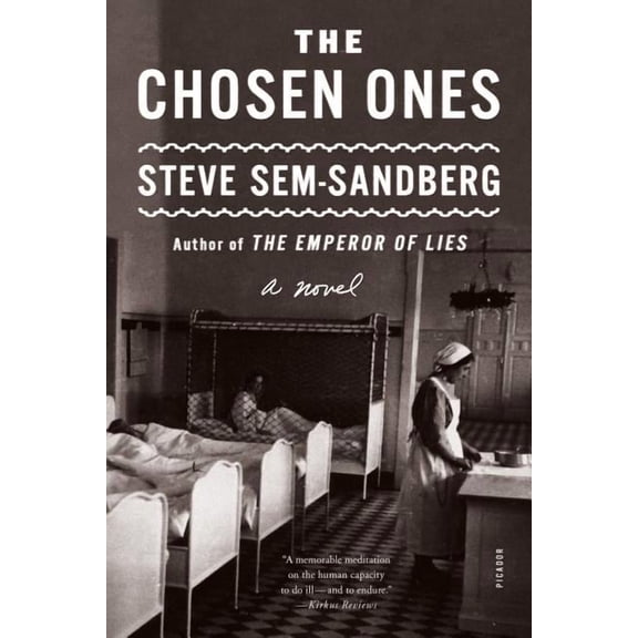 The Chosen Ones : A Novel (Paperback)