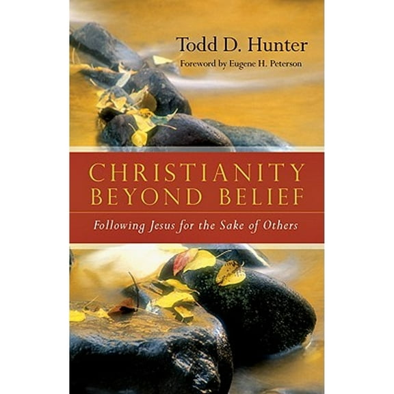 The Christianity Beyond Belief : Building Partnerships Between Existing and Emerging Christian Leaders (Hardcover)