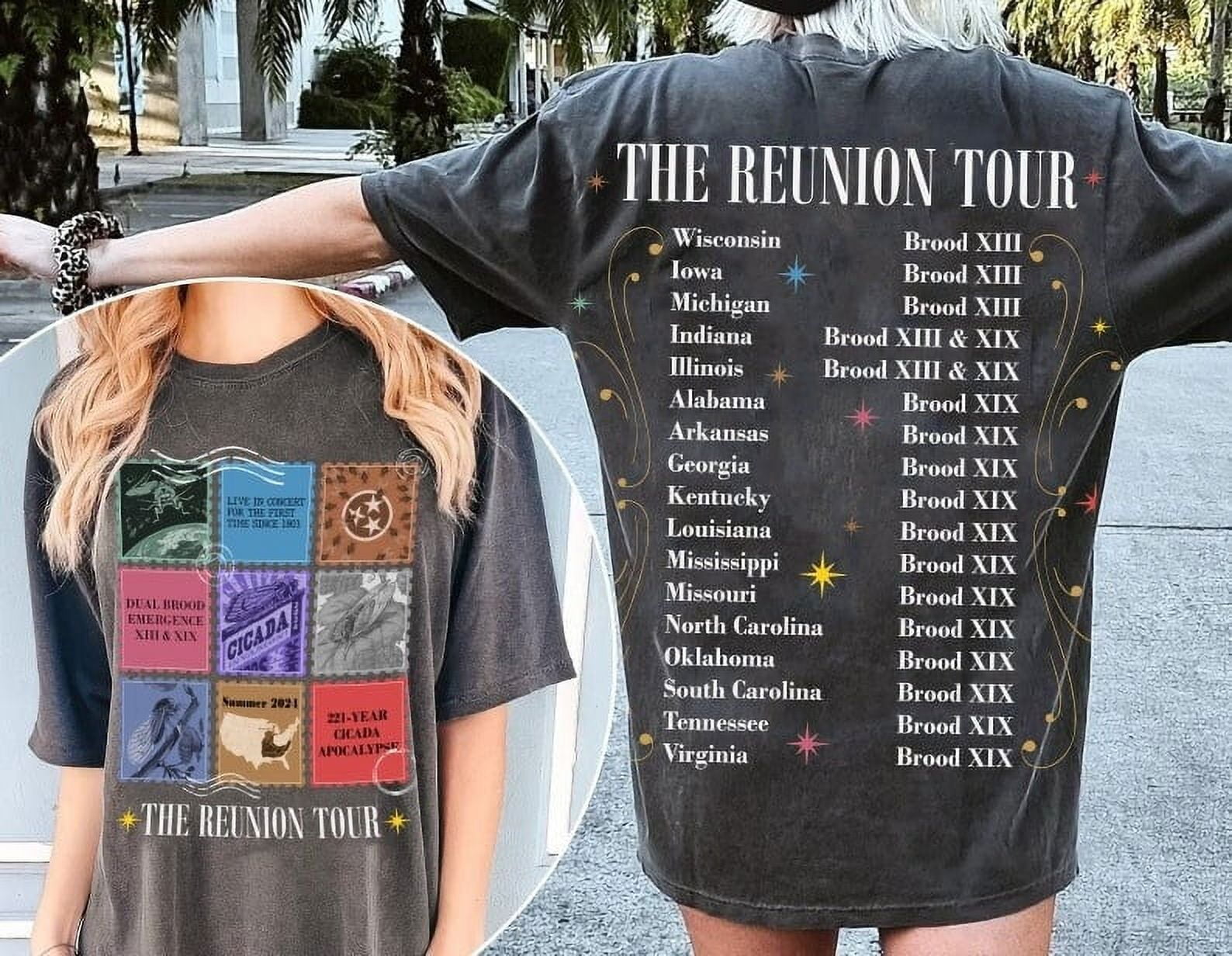 The Cicadas Reunion Tour 2024 Shirt, Goblincore Gift, Cicada Summer