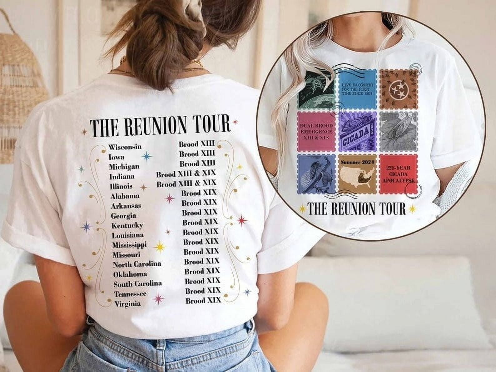 The Cicadas Reunion Tour 2024 Shirt, Goblincore Gift, Cicada Summer