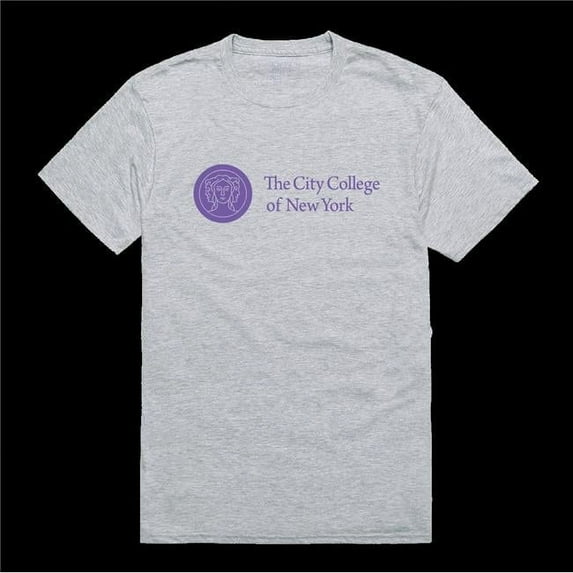 The City College of New York University Beavers Institutional T-Shirt, Heather Grey - Large