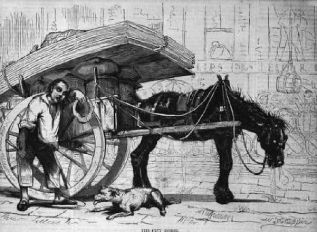 The City Horse Augustus Hoppin (1828-1896 American) Canvas Art - (24 x 36)