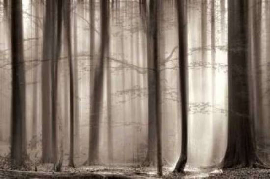 The Cloaking Canvas Art - Lars Van De Goor (24 x 36)