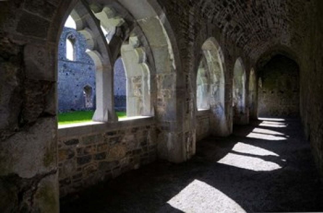The Cloisters in Killmallock 12th Century Dominican Friary Co Limerick Ireland Canvas Art - Panoramic Images (19 x 12)