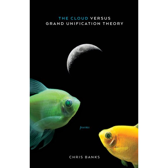The Cloud Versus Grand Unification Theory : Poems (Paperback)