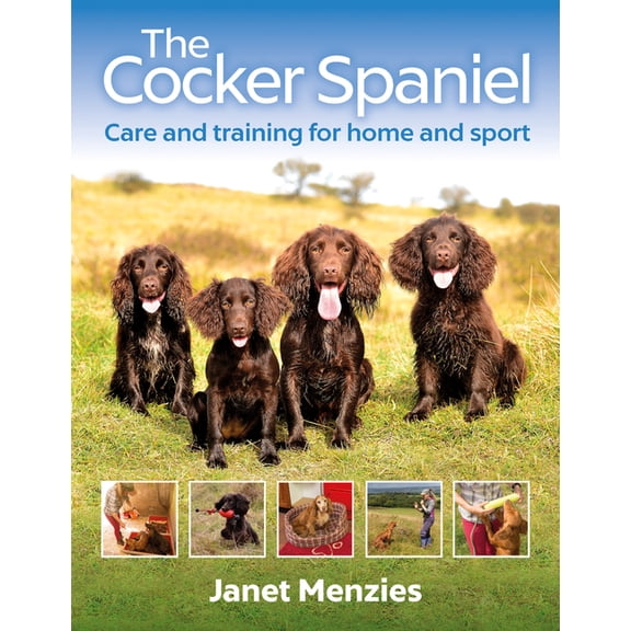 The Cocker Spaniel : Care and Training for Home and Sport (Paperback)