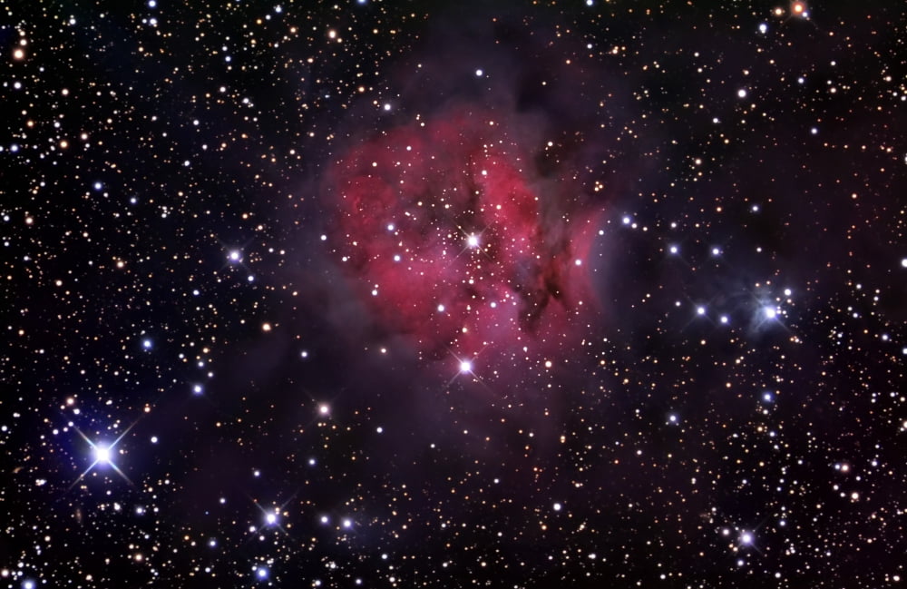 The Cocoon Nebula Canvas Art - R Jay GaBanyStocktrek Images (34 x 22)