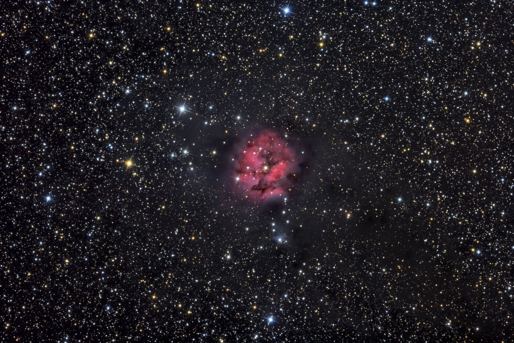The Cocoon Nebula Canvas Art - Roth RitterStocktrek Images (18 x 12)