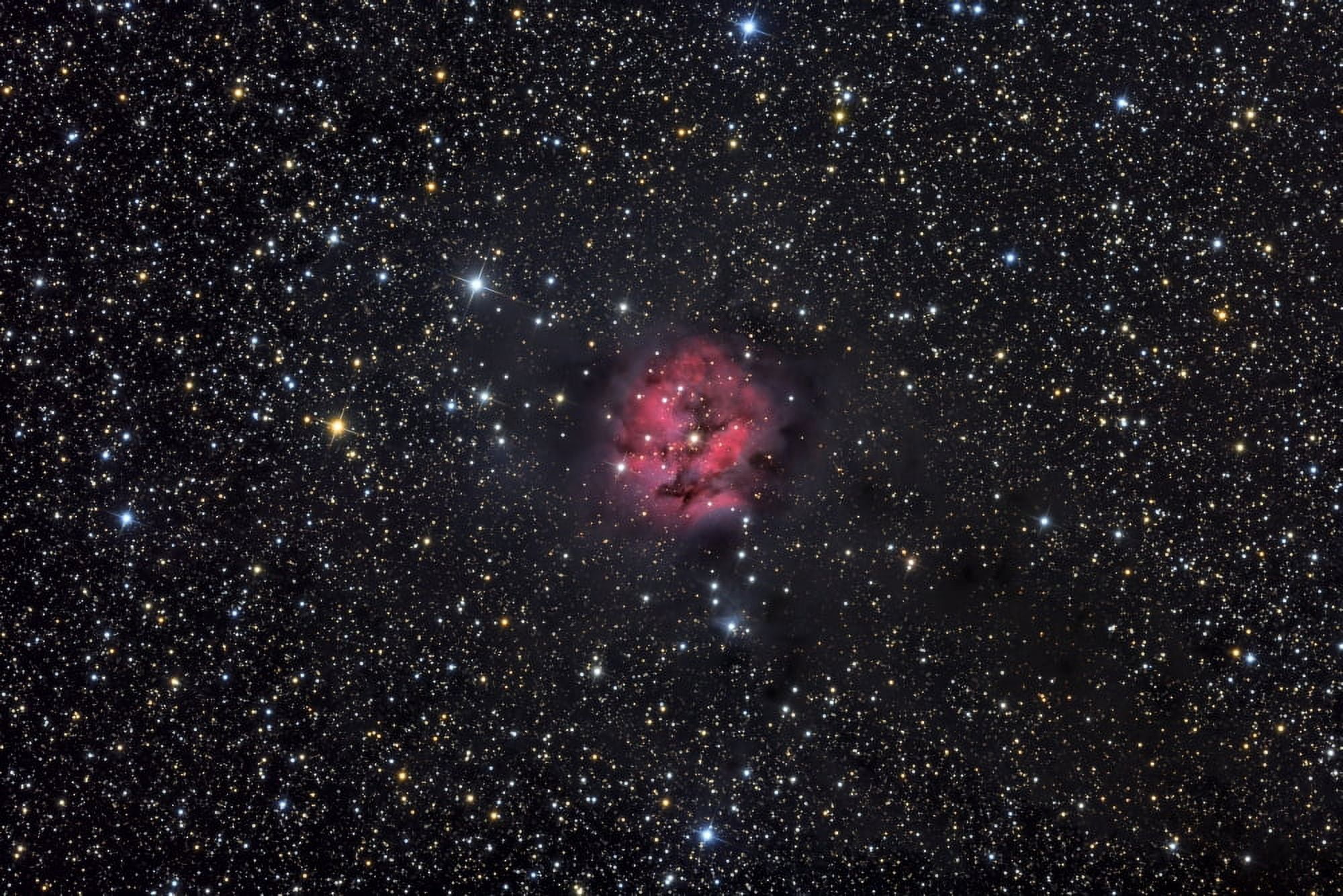 The Cocoon Nebula Canvas Art - Roth RitterStocktrek Images (35 x 23)