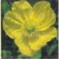 thumbnail image 1 of Pre-Owned The Color Garden (Yellow : Single Color Plantings for Dramatic Landscapes) Paperback, 1 of 1