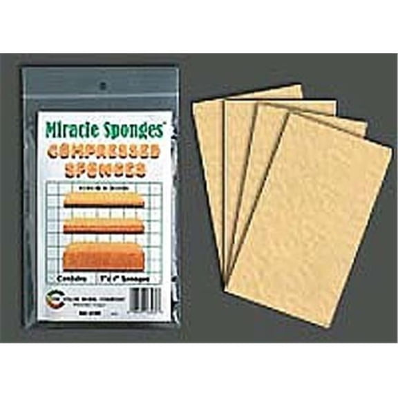 The Color Wheel 3460CW 3 X 4 In. Miracle Sponge- Pack - 4