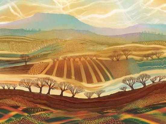 The Colours of the Earth Canvas Art - Rebecca Vincent (18 x 24)