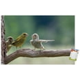 thumbnail image 1 of The Comedy Wildlife Photography Awards: Jacek Stankiewicz - Dispute Wall Poster, 14.725" x 22.375", 1 of 5