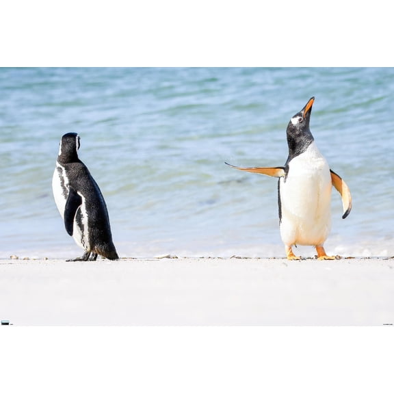 The Comedy Wildlife Photography Awards: Jennifer Hadley - Talk To The Fin Wall Poster, 14.725" x 22.375"
