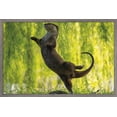 thumbnail image 1 of The Comedy Wildlife Photography Awards: Otter Kwek - Ballerina Wall Poster, 14.725" x 22.375" Framed, 1 of 5