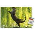 thumbnail image 1 of The Comedy Wildlife Photography Awards: Otter Kwek - Ballerina Wall Poster with Push Pins, 14.725" x 22.375", 1 of 4