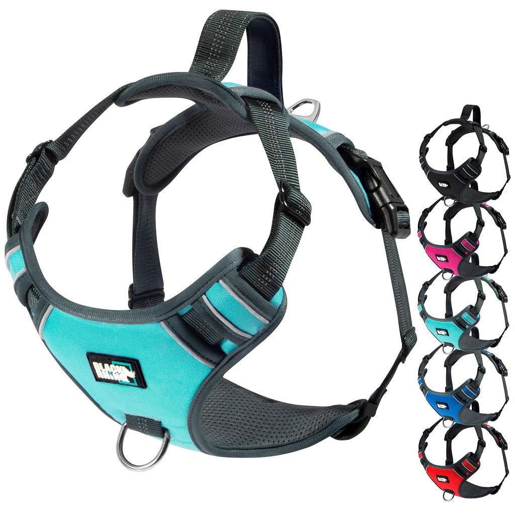 The Comfort Dog Harness With Mesh Padded Vest Aqua - Small Breeds