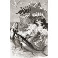 thumbnail image 1 of The Common Swordfish. Xiphias Gladius Xiphiidae. From Cassell's Natural History Published 1881. by Ken Welsh / Design Pics, 1 of 3