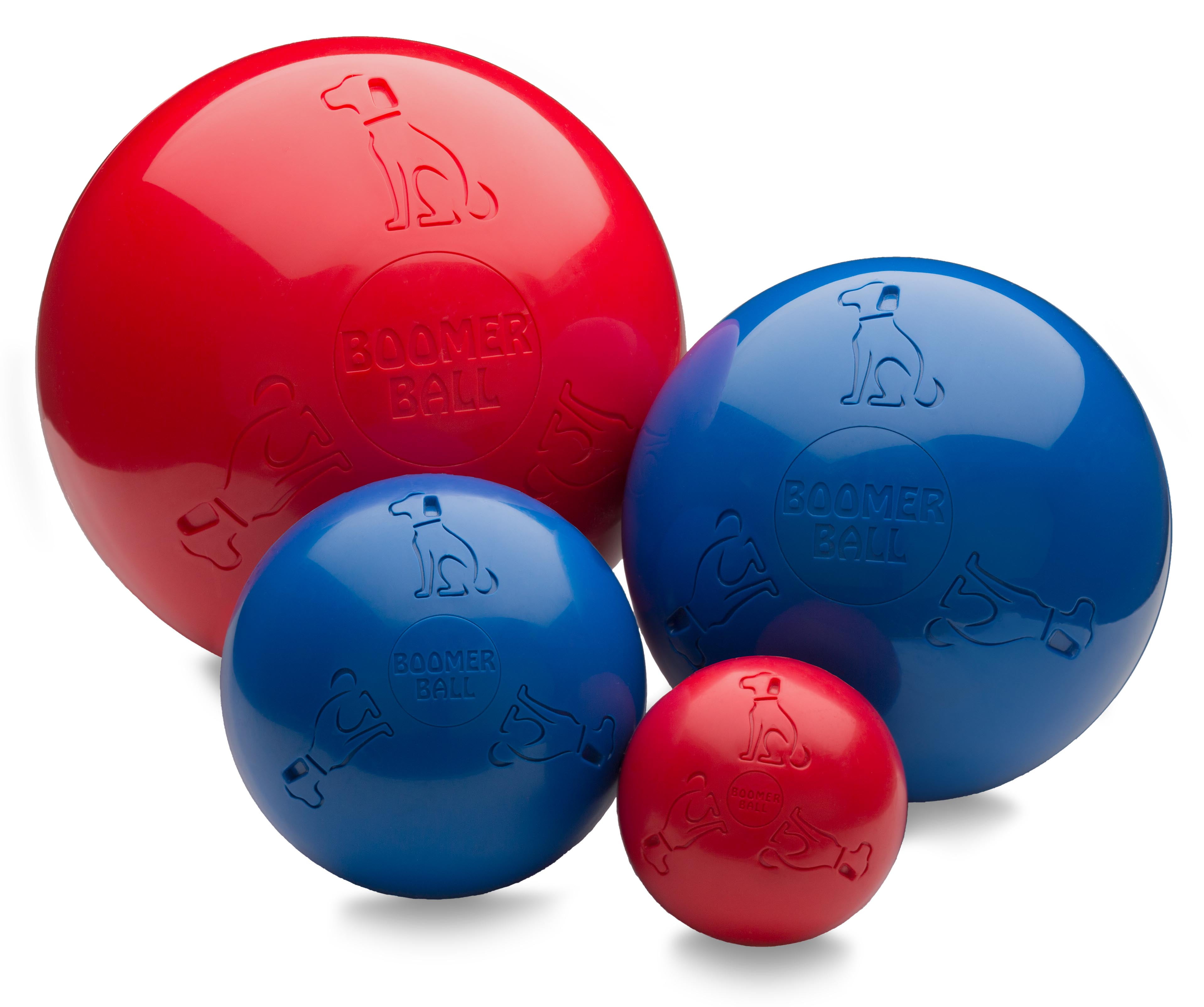 The Company of Animals Dog Boomer Ball, Medium, Assorted Color