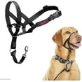 thumbnail image 1 of The Company of Animals Halti Headcollar  for Dogs, Black, 3-Size, 1 of 5