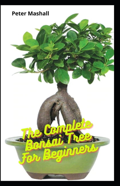 The Complete Bonsai Tree For Beginners : Step Bt Step Instructions On How  To Train, Grow, Cultivate, CreateAnd Care For Bonsai Tree (Paperback)
