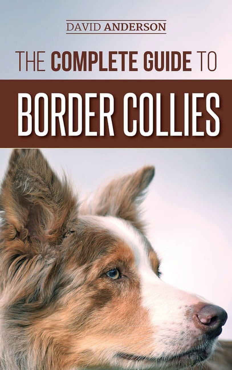 Border collie supplies 2025