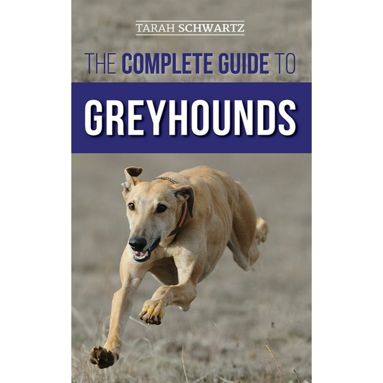 Greyhound feeding top