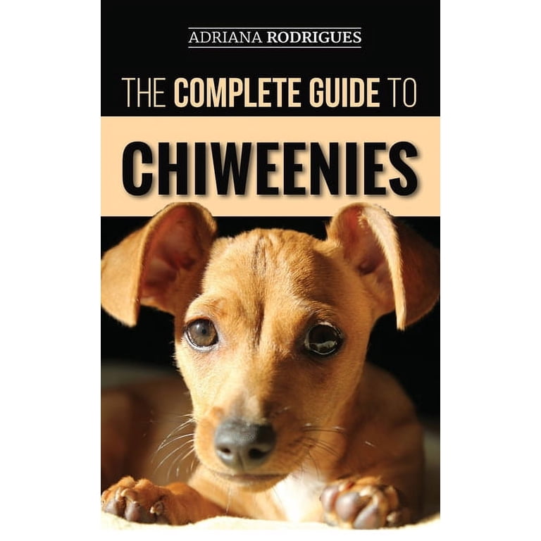 Chihuahua Dachshund Mix (Chiweenie) Guide: Ultimate Owner Tips