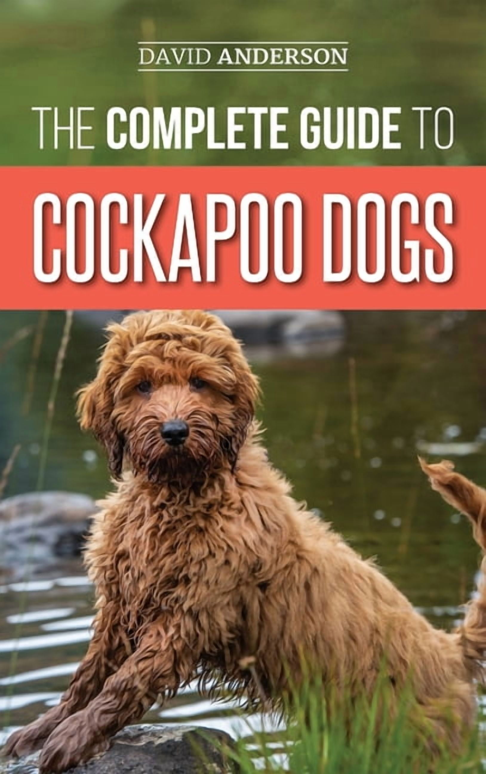 The Complete Guide to Cockapoo Dogs: Everything You Need to Know to ...