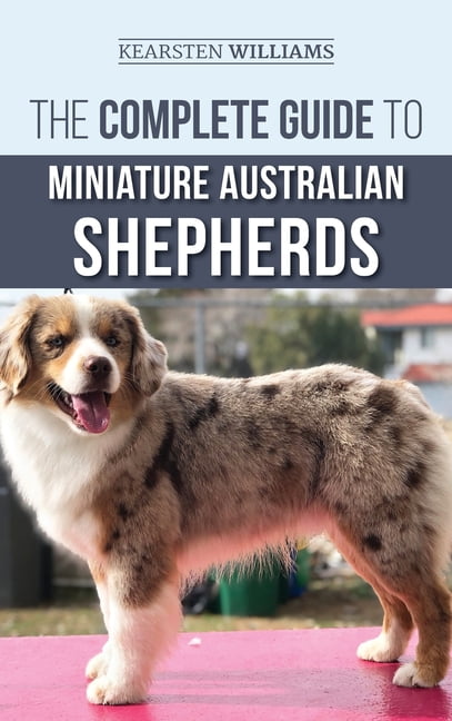 The Complete Guide to Miniature Australian Shepherds: Finding