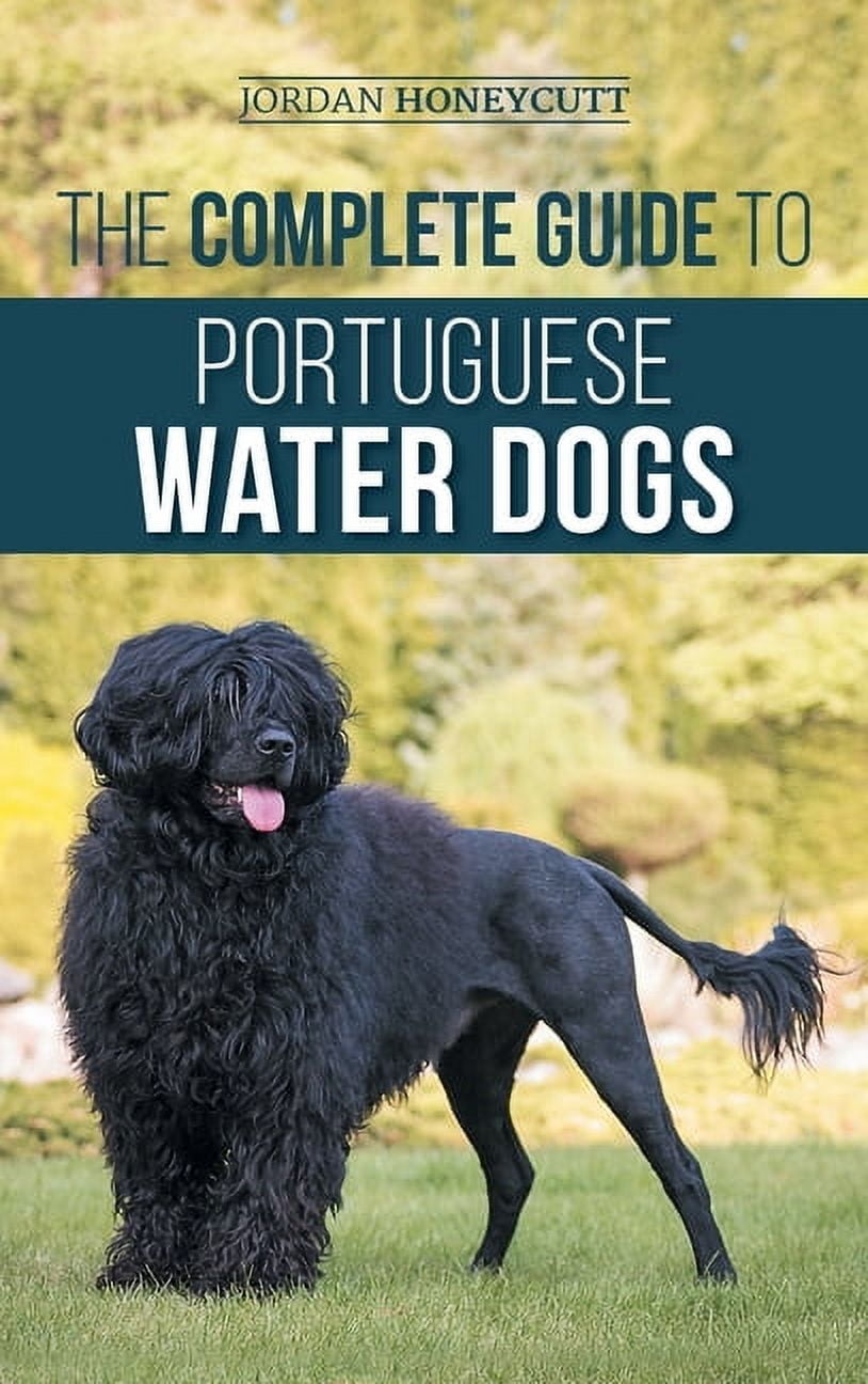 Dog Temperament Portuguese Water Dog Big Dogs The Complete Guide