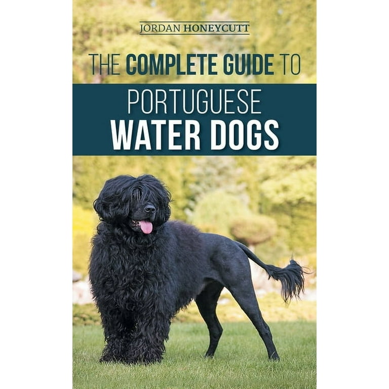Pet Portuguese Water Dog Big Dogs Wavy Portuguese Water Dog
