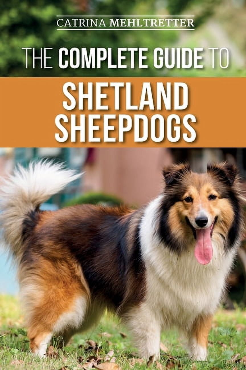 Shetland Rearing The Complete Guide to Shetland Sheepdogs: Finding, Raising, Training ...