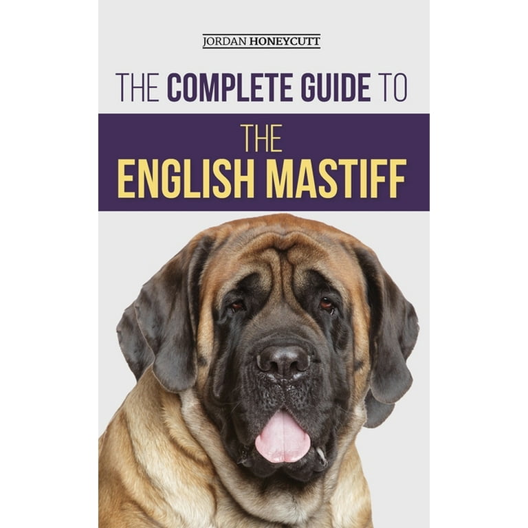 English mastiff cheap stuff
