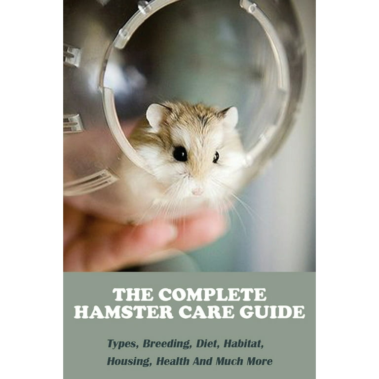 Everything you need to know before getting a Hamster