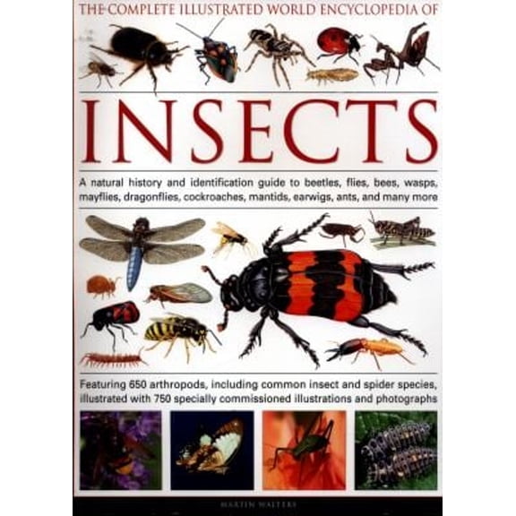 Pre-Owned The Complete Illustrated World Encyclopedia of Insects: A Natural History And Identification Guide To Beetles, Flies, Bees, Wasps, Mayflies, ... Mantids, Earwigs, ... (Paperback) 1846813565