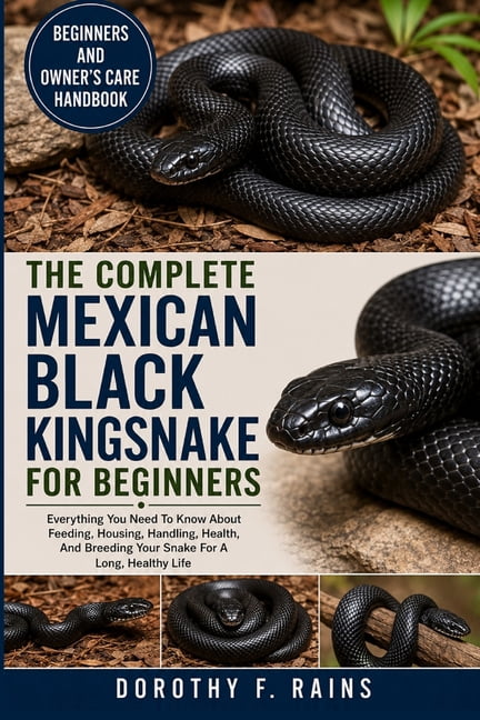 The Complete Mexican Black Kingsnake for Beginners: Everything You Need To Know About Feeding, Housing, Handling, Health, (Paperback)